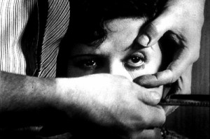 Un chen andalou 1